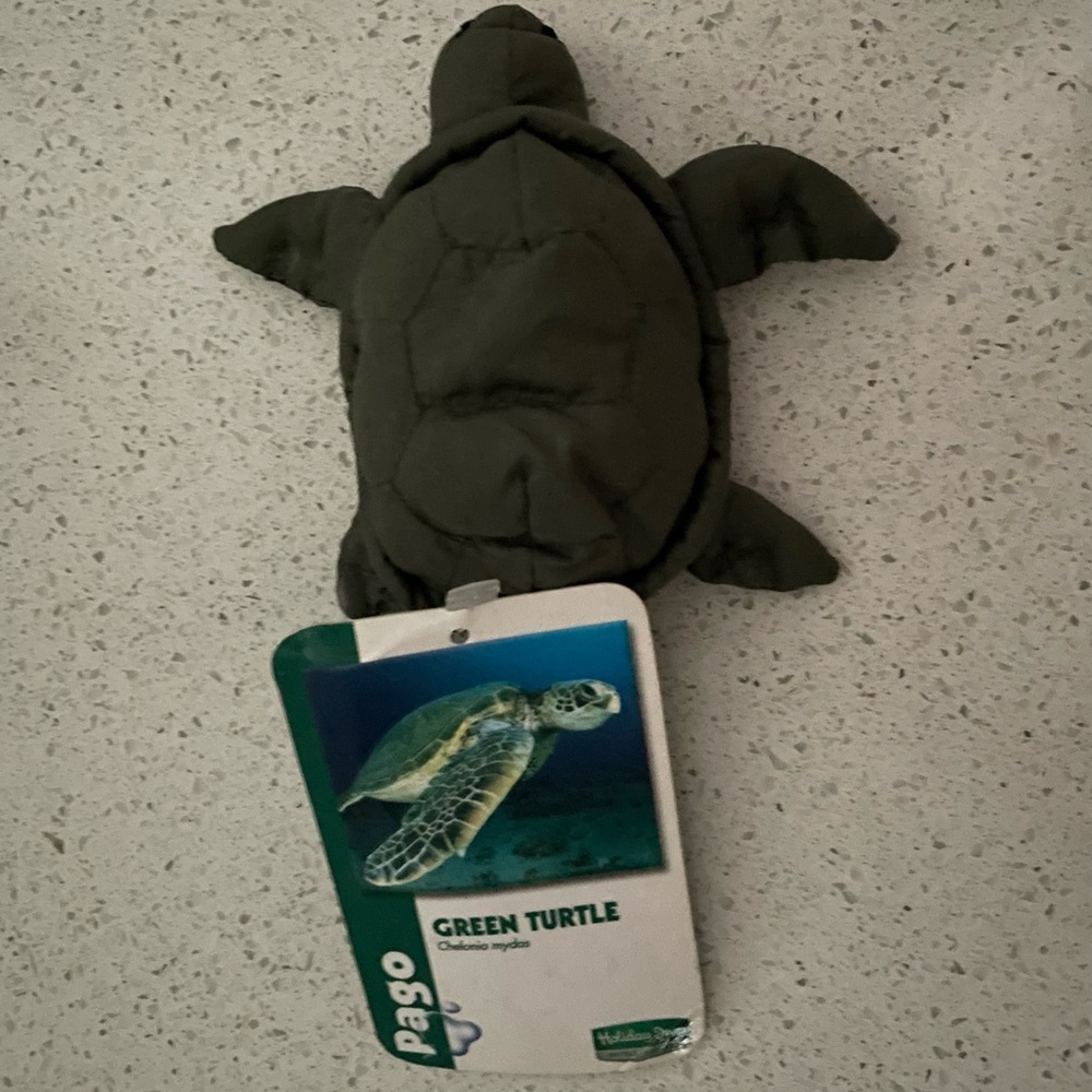 Pago Green Turtle